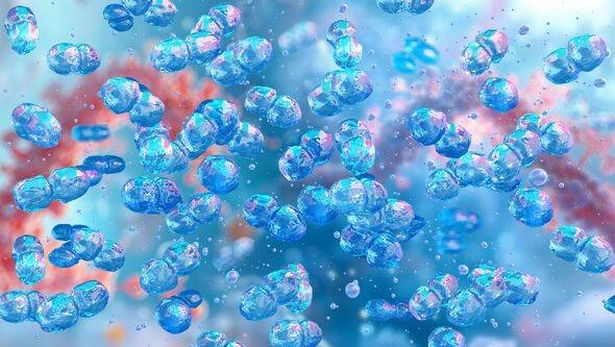 Dangerous superbugs kill up to a million people every year