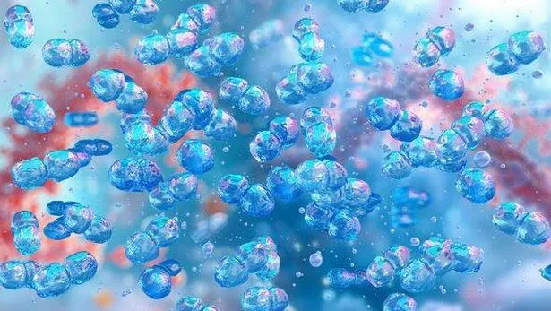 Dangerous superbugs kill up to a million people every year