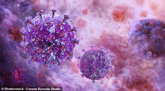 Pictured above is HIV. It is able to hide within cells, making it very hard to treat (Stock image)